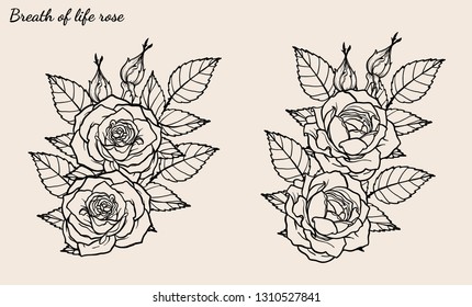 Rose ornament vector set by hand drawing.Beautiful flower on brown background.Rose art highly detailed in line art style.Breath of life rose for wallpaper or tattoo.