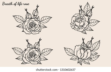 Rose ornament vector set by hand drawing.Beautiful flower on brown background.Rose art highly detailed in line art style.Breath of life rose for wallpaper or tattoo.