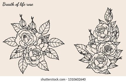 Rose ornament vector set by hand drawing.Beautiful flower on brown background.Rose art highly detailed in line art style.Breath of life rose for wallpaper or tattoo.
