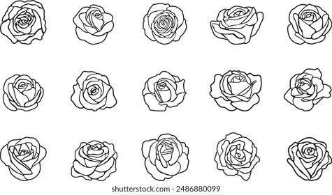 rose outline art vector illustration graphic design set line art coloring book colouring page stained glass valentine's day love flower hand drawn roses bouquet valentine wedding sticker vintage pink