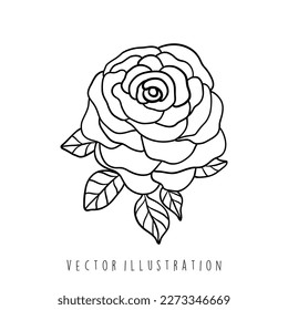 ilustración del contorno de rosa. ilustración vectorial