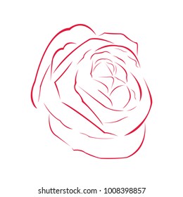 Rose outline image