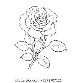 Rose outline with leaves for kids books cover, greeting card and invitation of the wedding, birthday, Valentine s Day, mother s day, holiday.