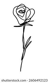 rose outline simple sketch illustration