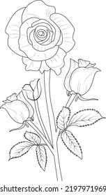 rose outline sketch hand drawn pencil art vector illustration botanical collection branch of leaf buds roses coloring page fo kids and adults.
