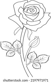 Rose Outline Sketch Hand Drawn Pencil Stock Vector (Royalty Free ...