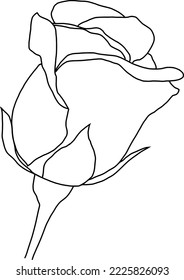 Rose outline vector illustration flower,coloring page