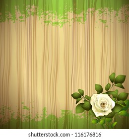 Rose over wood background