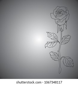 rose painted with a gray line on a gray background