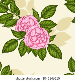 Rose pattern by hand drawing.Pink rose high detail for wallpaper.Flower seamless pattern on vintage background.Centifolia rose for batik cloth.