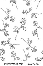 rose pattern drawn by a line