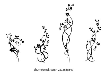 rose pattern elements for ornament plants prickly. scroll image vector