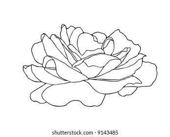 Rose pattern illustration