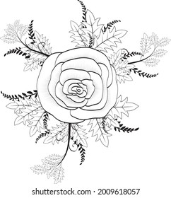 rose patterns, outline flower designs, flower illustrations, fabric designs