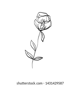 Rose Or Peony Outline Painting, One Line Continuous Flower, Minimalistic Organic Natural Logo 