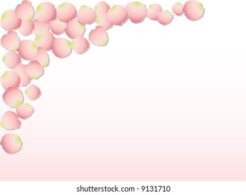 Rose Petal Background