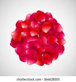 Rose petal circle on white background 