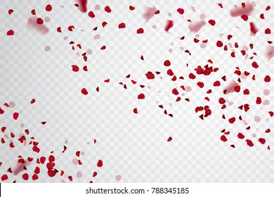 
Rose petal falling. Confetti pelal. Vector stock.