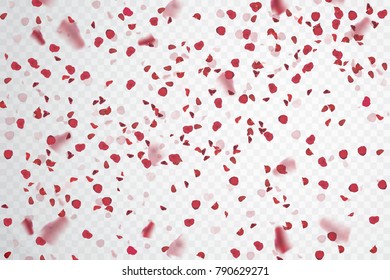 Rose Petal Falling. Confetti Pelal. Vector Stock.