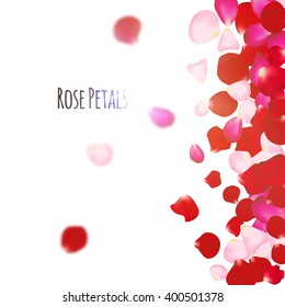 Rose petals background. For presentations, invitation ad print. Wedding valentine love concept.