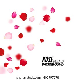 Rose petals background. For presentations, invitation ad print. Wedding valentine love concept.