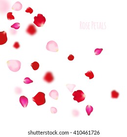 Rose petals background. For presentations, invitation ad print. Wedding valentine love concept.