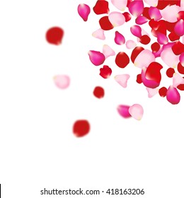 Rose petals background. For presentations, invitation ad print. Wedding valentine love concept.