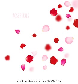 Rose petals background. For presentations, invitation ad print. Wedding valentine love concept.
