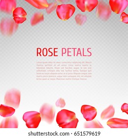 Rose petals border