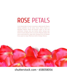 Rose petals border