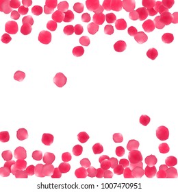 Rose petals border invitation card background vector illustration. Decorative pink blossom red rose flower petals isolated on white background. Blossom parts vector frame template. Place for text.
