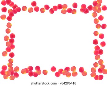 Rose petals border invitation card background vector illustration. Beautiful pink blossom red rose flower petals isolated on white background. Blossom parts vector frame template.