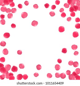 Rose petals border valentines day card background vector illustration. Stylish pink blossom red rose flower petals isolated on white background. Blossom elements vector border template.