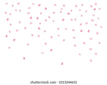 Rose Petals Elegant Vector Confetti. Spring Floral Decoration Background. Natural Cosmetics, Flying Rose Petals Confetti. Sakura Blossom Romance Wedding Decoration Valentines Day Floral Texture.