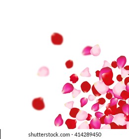 Rose petals falling background. For presentations, invitation ad print. Wedding valentine love concept.