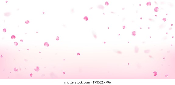 Rose Petals Falling Confetti. Beautiful Rich VIP Tender Pattern. Falling Japanese Rose Cherry Sakura Petals Border. Windy Leaves Confetti Banner. Blooming Cosmetics Ad Noble Floral Background.