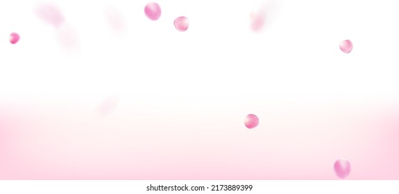 Rose Petals Falling Confetti. Beautiful Rich VIP Magic Pattern. Windy Leaves Confetti Poster. Blooming Cosmetics Ad Elegant Floral Background. Falling Japanese Cherry Sakura Rose Petals Border.