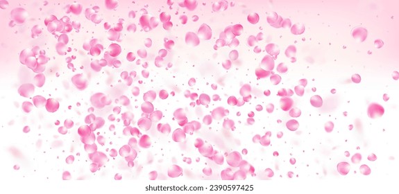 Rose Petals Falling Confetti. Beautiful Premium Tender Texture. Windy Leaves Confetti Poster. Flying Japanese Sakura Rose Cherry Petals Design. Blooming Cosmetics Ad Female Floral Background.