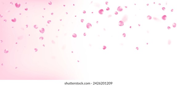 Rose Petals Falling Confetti. Beautiful Premium Pastel Texture. Windy Leaves Confetti Border. Blooming Cosmetics Ad Female Floral Background. Falling Japanese Cherry Sakura Rose Petals Frame.