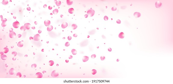Rose Petals Falling Confetti. Blooming Cosmetics Ad Beautiful Flower Background. Female Premium Magic Pattern. Flying Japanese Cherry Sakura Rose Petals Poster. Windy Leaves Confetti Frame.