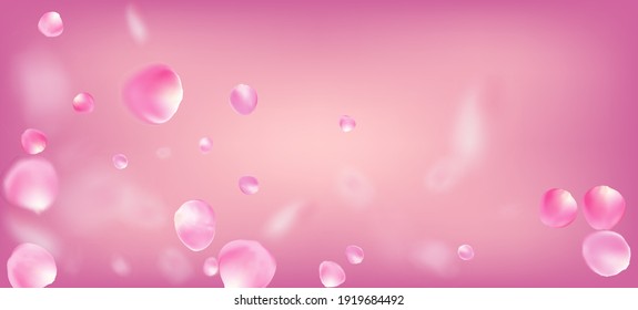 Rose Petals Falling Confetti. Blooming Cosmetics Ad Female Floral Background. Beautiful Premium Pastel Pattern. Windy Leaves Confetti Border. Falling Japanese Sakura Cherry Rose Petals Poster.