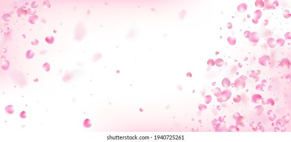 Rose Petals Falling Confetti. Blooming Cosmetics Ad Elegant Flower Background. Noble Rich VIP Pastel Texture. Falling Japanese Cherry Sakura Rose Petals Border. Windy Leaves Confetti Banner.