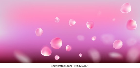 Rose Petals Falling Confetti. Blooming Cosmetics Ad Beautiful Flower Background. Windy Leaves Confetti Design. Noble Premium Watercolor Texture. Falling Japanese Sakura Cherry Rose Petals Frame.