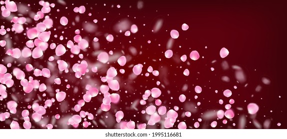 Rose Petals Falling Confetti. Blooming Cosmetics Ad Elegant Flower Background. Falling Japanese Cherry Rose Sakura Petals Poster. Windy Leaves Confetti Banner. Noble Premium Feminine Texture.