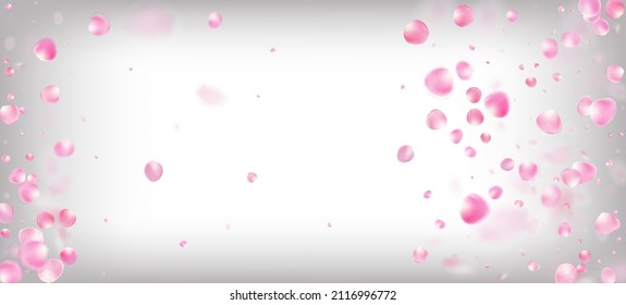 Rose Petals Falling Confetti. Blooming Cosmetics Ad Female Floral Background. Windy Leaves Confetti Banner. Beautiful Premium Pastel Pattern. Flying Japanese Cherry Sakura Rose Petals Design.