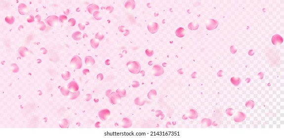 Rose Petals Falling Confetti. Blühende Kosmetik und eleganter floraler Hintergrund. Windy Leaves Confetti Poster. Fliegend japanische Rose Kirry Sakura Petals Design. Schöne, reiche VIP Pastel Textur.