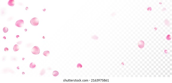 Rose Petals Falling Confetti. Blooming Cosmetics Ad Noble Flower Background. Falling Japanese Sakura Rose Cherry Petals Design. Beautiful Rich VIP Tender Texture. Windy Leaves Confetti Poster.