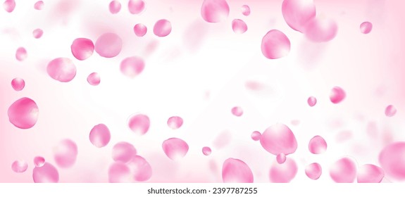 Rose Petals Falling Confetti. Blooming Cosmetics Ad Noble Floral Background. Windy Leaves Confetti Frame. Female Premium Watercolor Texture. Falling Japanese Rose Cherry Sakura Petals Banner.