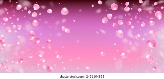Rose Petals Falling Confetti. Blooming Cosmetics Ad Elegant Flower Background. Beautiful Premium Pastel Texture. Falling Japanese Sakura Cherry Rose Petals Banner. Windy Leaves Confetti Poster.