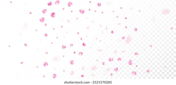 Rose Petals Falling Confetti. Blooming Cosmetics Ad Elegant Flower Background. Flying Japanese Rose Cherry Sakura Petals Poster. Windy Leaves Confetti Banner. Beautiful Rich VIP Watercolor Texture.